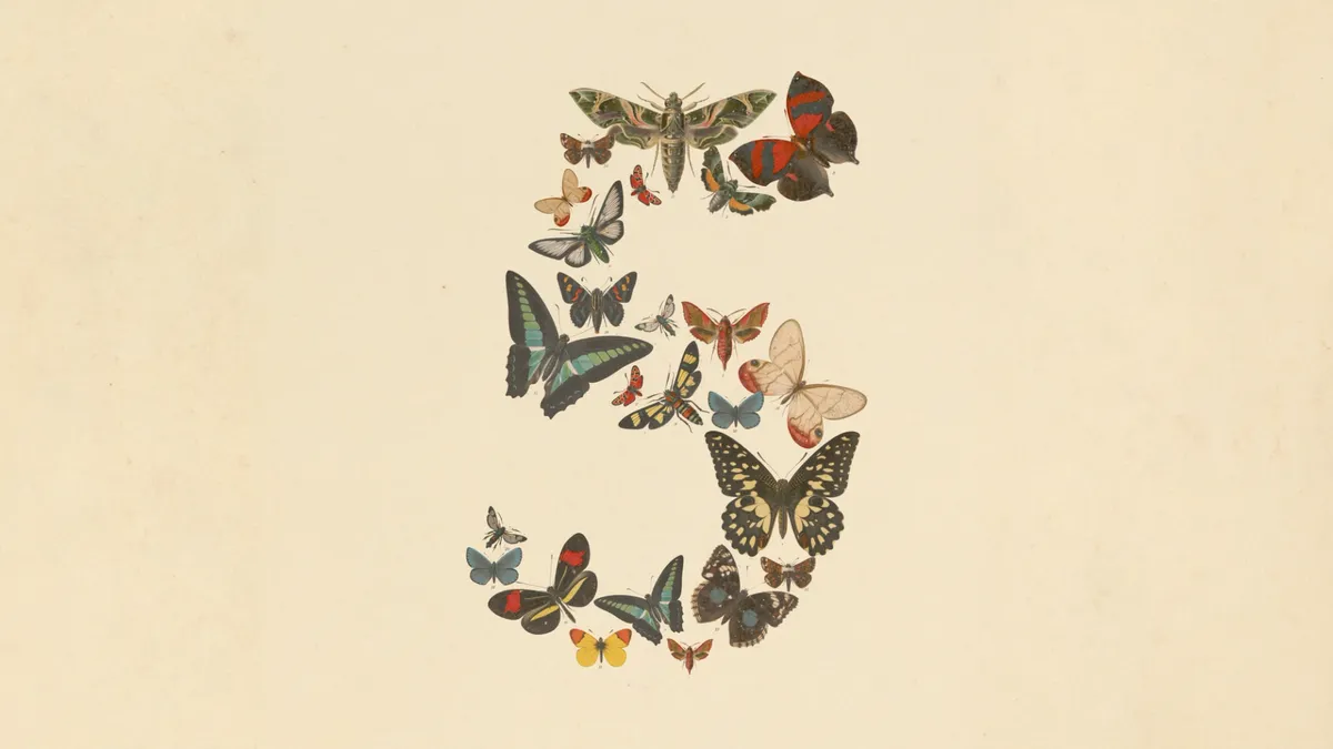 Anthropic's Claude Fable 5 brand artwork: the numeral 5 formed from an arrangement of butterflies and moths on a cream background